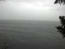 ./images/koeye/fitz-hugh/20200821/fitz-hugh20200821_142002.jpg