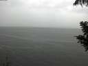 ./images/koeye/fitz-hugh/20200821/fitz-hugh20200821_142502.jpg