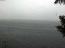 ./images/koeye/fitz-hugh/20200821/fitz-hugh20200821_143502.jpg