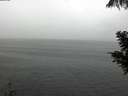 ./images/koeye/fitz-hugh/20200821/fitz-hugh20200821_144002.jpg