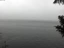 ./images/koeye/fitz-hugh/20200821/fitz-hugh20200821_144502.jpg
