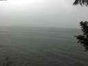 ./images/koeye/fitz-hugh/20200821/fitz-hugh20200821_145002.jpg