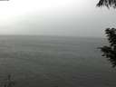 ./images/koeye/fitz-hugh/20200821/fitz-hugh20200821_145502.jpg