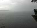 ./images/koeye/fitz-hugh/20200821/fitz-hugh20200821_150502.jpg