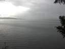 ./images/koeye/fitz-hugh/20200821/fitz-hugh20200821_151002.jpg