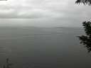 ./images/koeye/fitz-hugh/20200821/fitz-hugh20200821_162501.jpg