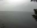 ./images/koeye/fitz-hugh/20200821/fitz-hugh20200821_164001.jpg