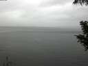 ./images/koeye/fitz-hugh/20200821/fitz-hugh20200821_164501.jpg