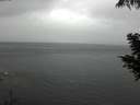 ./images/koeye/fitz-hugh/20200821/fitz-hugh20200821_165501.jpg
