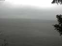 ./images/koeye/fitz-hugh/20200821/fitz-hugh20200821_170501.jpg