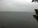 ./images/koeye/fitz-hugh/20200821/fitz-hugh20200821_171001.jpg