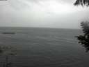 ./images/koeye/fitz-hugh/20200821/fitz-hugh20200821_171502.jpg