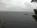./images/koeye/fitz-hugh/20200821/fitz-hugh20200821_172502.jpg