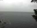 ./images/koeye/fitz-hugh/20200821/fitz-hugh20200821_174002.jpg