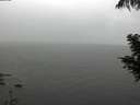 ./images/koeye/fitz-hugh/20200821/fitz-hugh20200821_174502.jpg