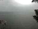 ./images/koeye/fitz-hugh/20200821/fitz-hugh20200821_175002.jpg