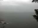 ./images/koeye/fitz-hugh/20200821/fitz-hugh20200821_175502.jpg