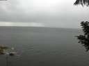 ./images/koeye/fitz-hugh/20200821/fitz-hugh20200821_180002.jpg