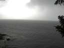 ./images/koeye/fitz-hugh/20200821/fitz-hugh20200821_180502.jpg