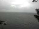 ./images/koeye/fitz-hugh/20200821/fitz-hugh20200821_181002.jpg