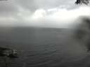 ./images/koeye/fitz-hugh/20200821/fitz-hugh20200821_181502.jpg