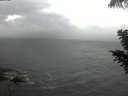 ./images/koeye/fitz-hugh/20200821/fitz-hugh20200821_182002.jpg