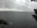 ./images/koeye/fitz-hugh/20200821/fitz-hugh20200821_183501.jpg