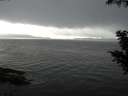 ./images/koeye/fitz-hugh/20200821/fitz-hugh20200821_184501.jpg
