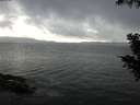 ./images/koeye/fitz-hugh/20200821/fitz-hugh20200821_185001.jpg