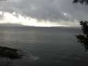 ./images/koeye/fitz-hugh/20200821/fitz-hugh20200821_185501.jpg