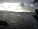 ./images/koeye/fitz-hugh/20200821/fitz-hugh20200821_190501.jpg