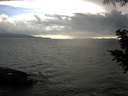 ./images/koeye/fitz-hugh/20200821/fitz-hugh20200821_193501.jpg