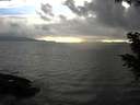 ./images/koeye/fitz-hugh/20200821/fitz-hugh20200821_194001.jpg