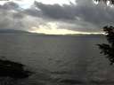 ./images/koeye/fitz-hugh/20200821/fitz-hugh20200821_194501.jpg