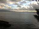 ./images/koeye/fitz-hugh/20200821/fitz-hugh20200821_200502.jpg