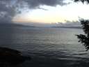 ./images/koeye/fitz-hugh/20200821/fitz-hugh20200821_203502.jpg