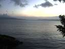 ./images/koeye/fitz-hugh/20200821/fitz-hugh20200821_204502.jpg