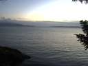 ./images/koeye/fitz-hugh/20200821/fitz-hugh20200821_205502.jpg