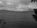 ./images/koeye/fitz-hugh/20200822/fitz-hugh20200822_055001.jpg