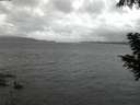 ./images/koeye/fitz-hugh/20200822/fitz-hugh20200822_055502.jpg