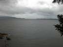 ./images/koeye/fitz-hugh/20200822/fitz-hugh20200822_060501.jpg