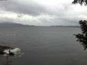 ./images/koeye/fitz-hugh/20200822/fitz-hugh20200822_062001.jpg