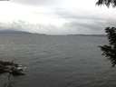 ./images/koeye/fitz-hugh/20200822/fitz-hugh20200822_062501.jpg