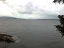 ./images/koeye/fitz-hugh/20200822/fitz-hugh20200822_064501.jpg