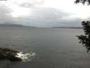 ./images/koeye/fitz-hugh/20200822/fitz-hugh20200822_071501.jpg