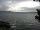 ./images/koeye/fitz-hugh/20200822/fitz-hugh20200822_074501.jpg
