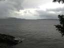 ./images/koeye/fitz-hugh/20200822/fitz-hugh20200822_075002.jpg
