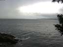 ./images/koeye/fitz-hugh/20200822/fitz-hugh20200822_075501.jpg