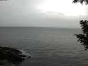./images/koeye/fitz-hugh/20200822/fitz-hugh20200822_080002.jpg
