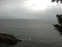 ./images/koeye/fitz-hugh/20200822/fitz-hugh20200822_080502.jpg